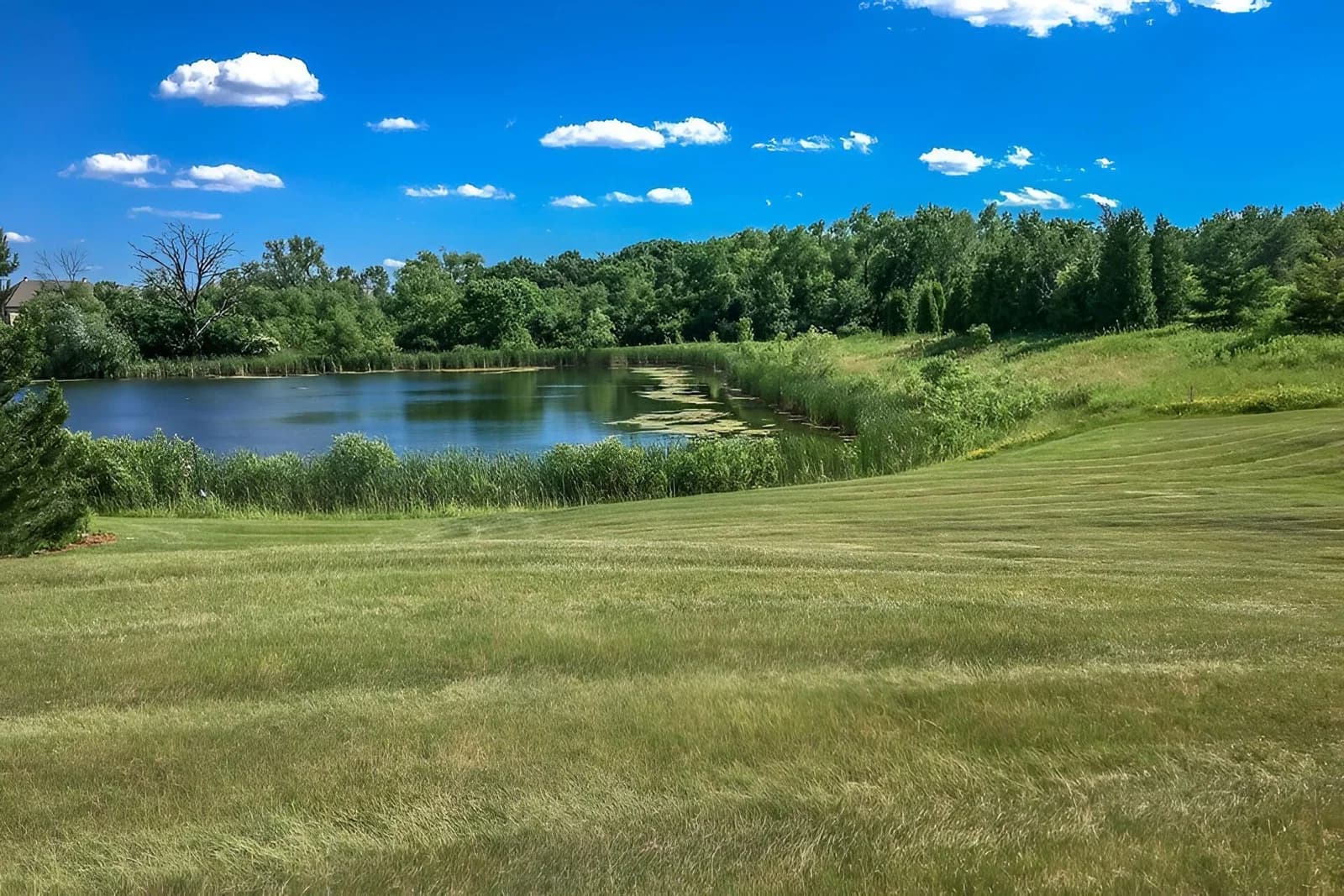 8501 Deerwood, Franklin, WI 53132