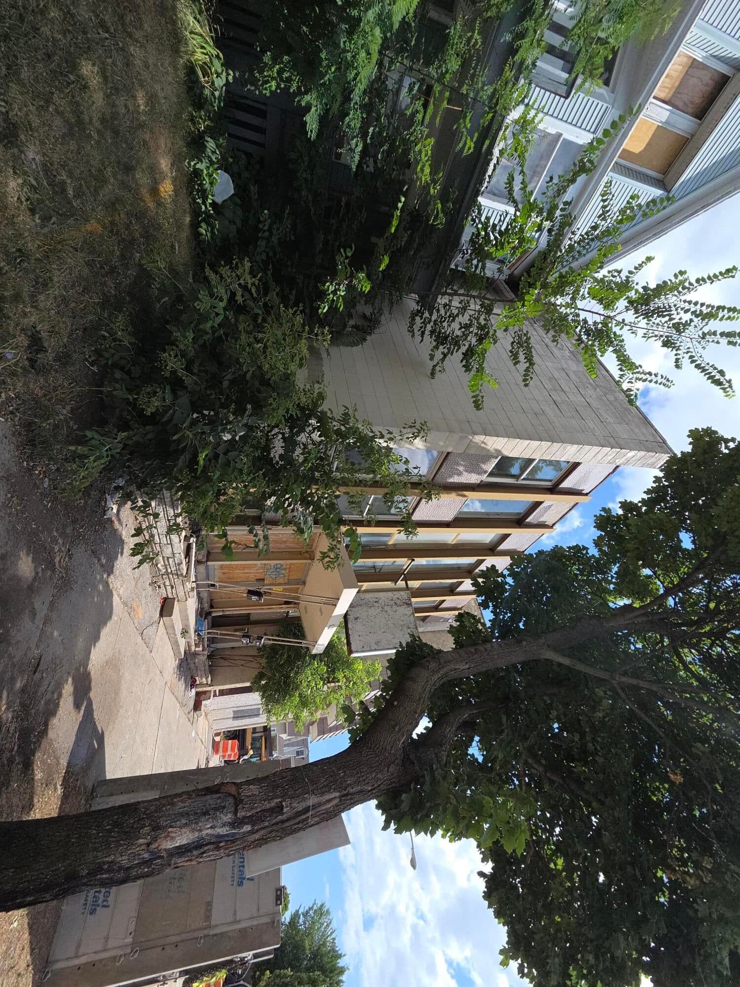 2504 Mitchell 2