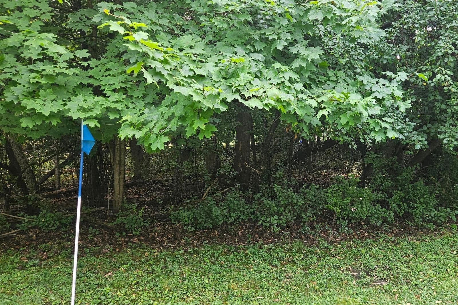 Lt1 42nd, Greenfield, WI 53220