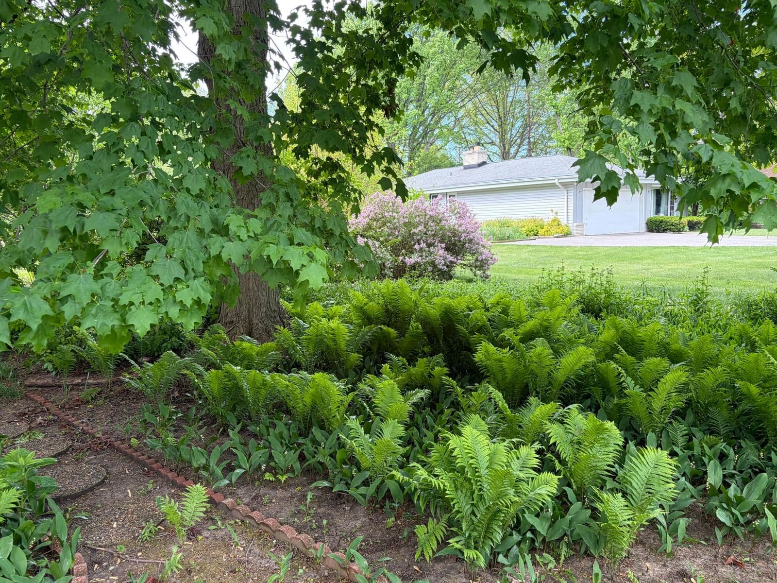 9935 Green Tree 5