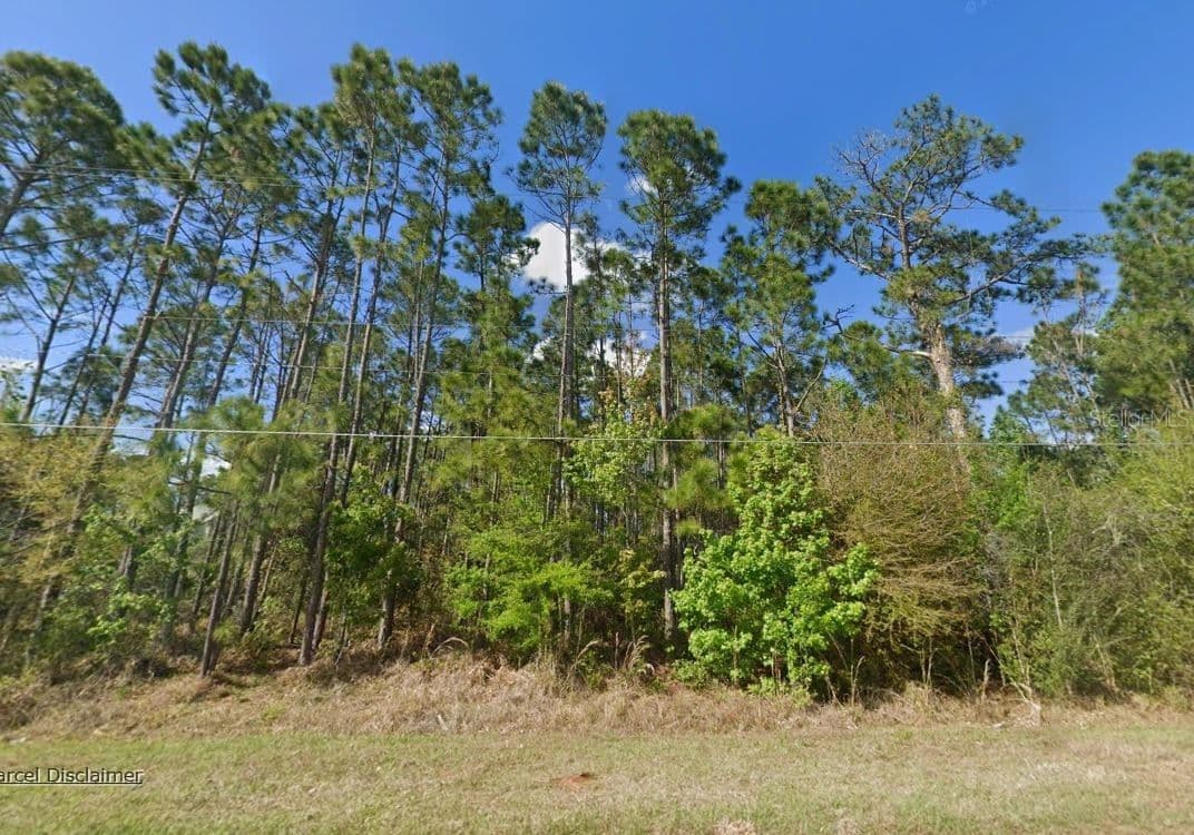 20607 NEWBY, Orlando, FL 32833 2