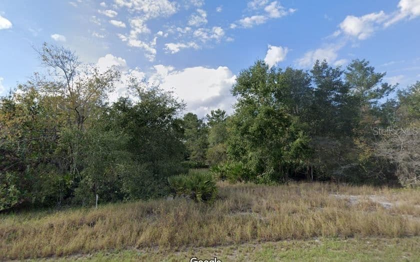 1451 KISSIMMEE, Poinciana, FL 34759