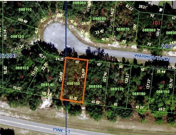 118 WARMOUTH, Poinciana, FL 34759