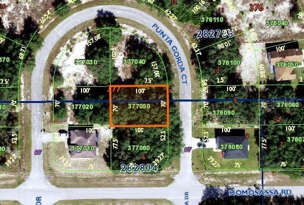 1402 PUNTA GORDA, Poinciana, FL 34759