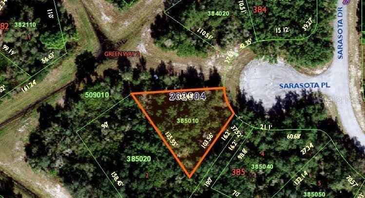 506 SARASOTA, Poinciana, FL 34759