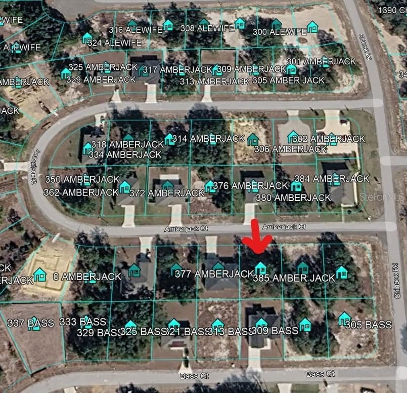 377 AMBERJACK, Kissimmee, FL 34759