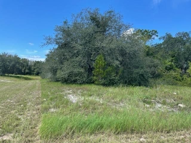 KISSIMMEE Way, Kissimmee, FL 34759 2
