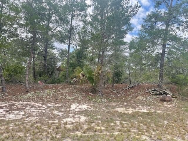 1342 HOMOSASSA, Poinciana, FL 34759