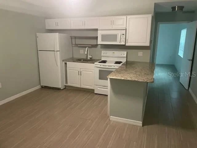 1610 HAVEN Drive #Rear, Orlando, FL 32803 2