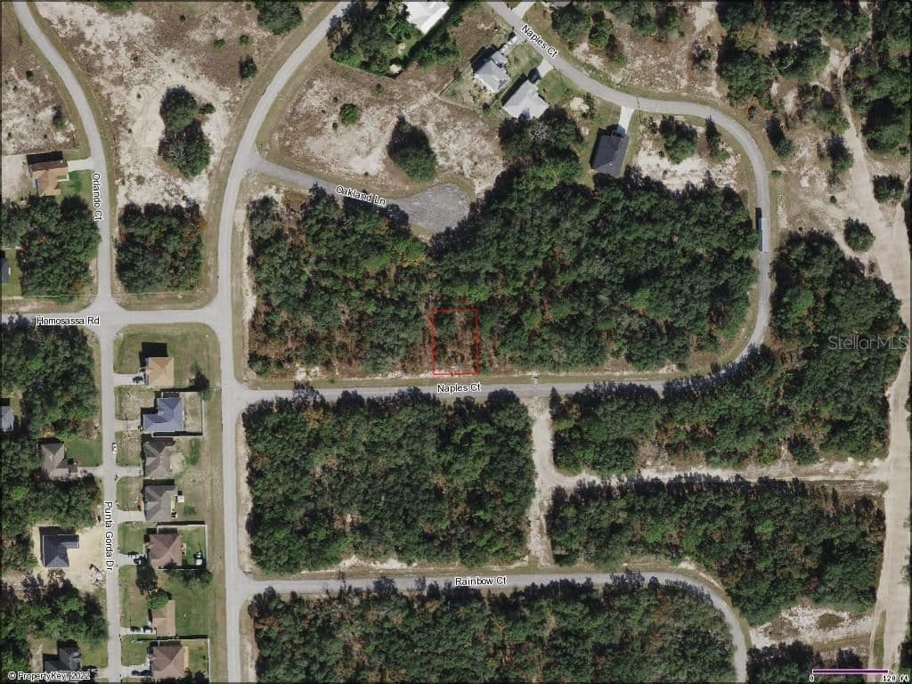 442 NAPLES, Poinciana, FL 34759