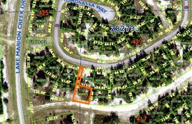 1352 HOMOSASSA, Poinciana, FL 34759