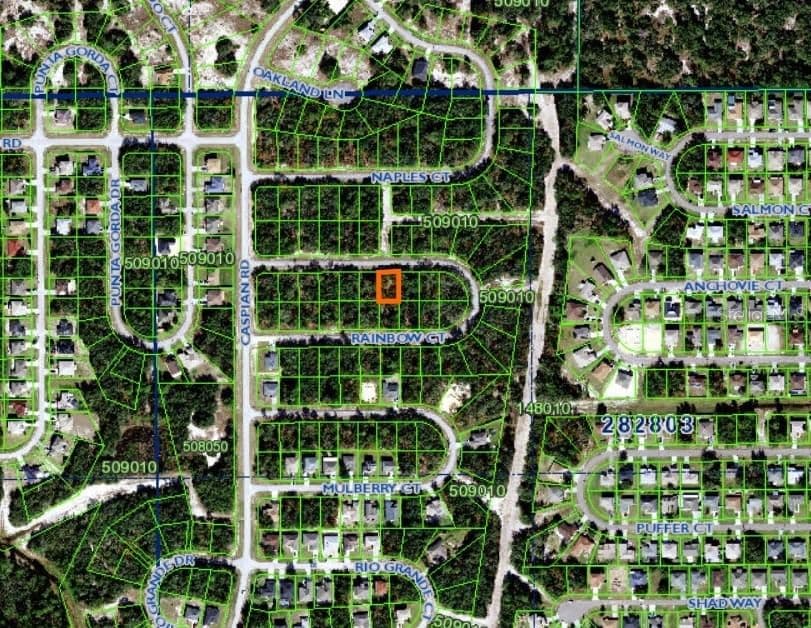 RAINBOW, Poinciana, FL 34759