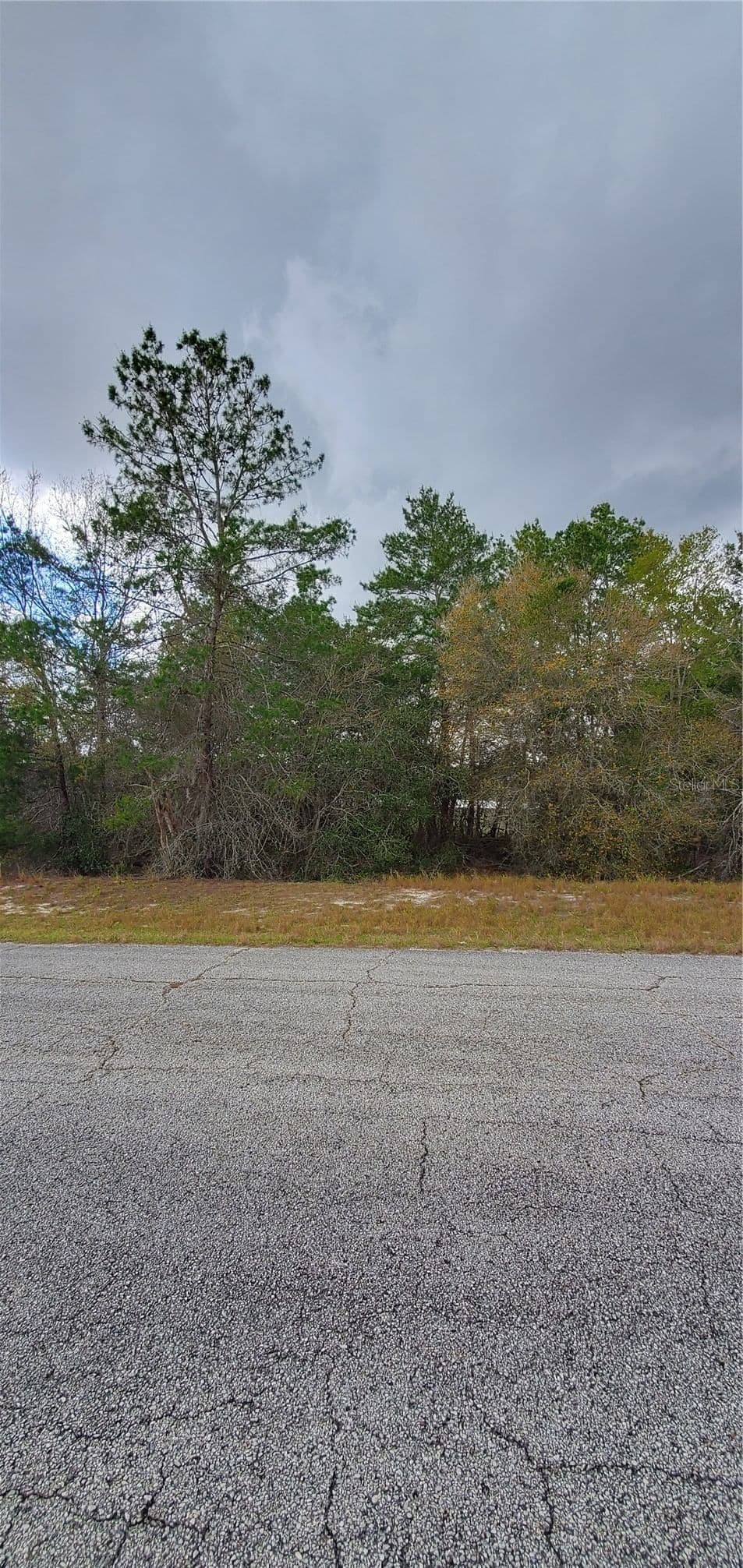 1428 HILLSBOROUGH, Poinciana, FL 34759