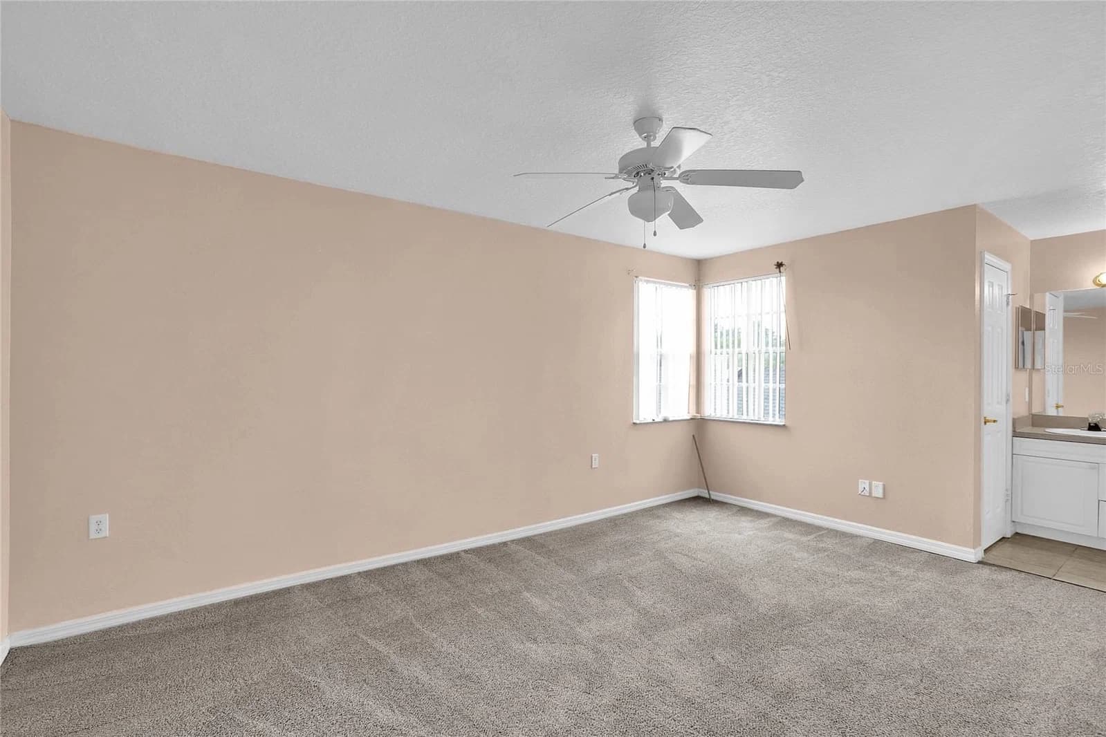 2918 FAN PALM 5