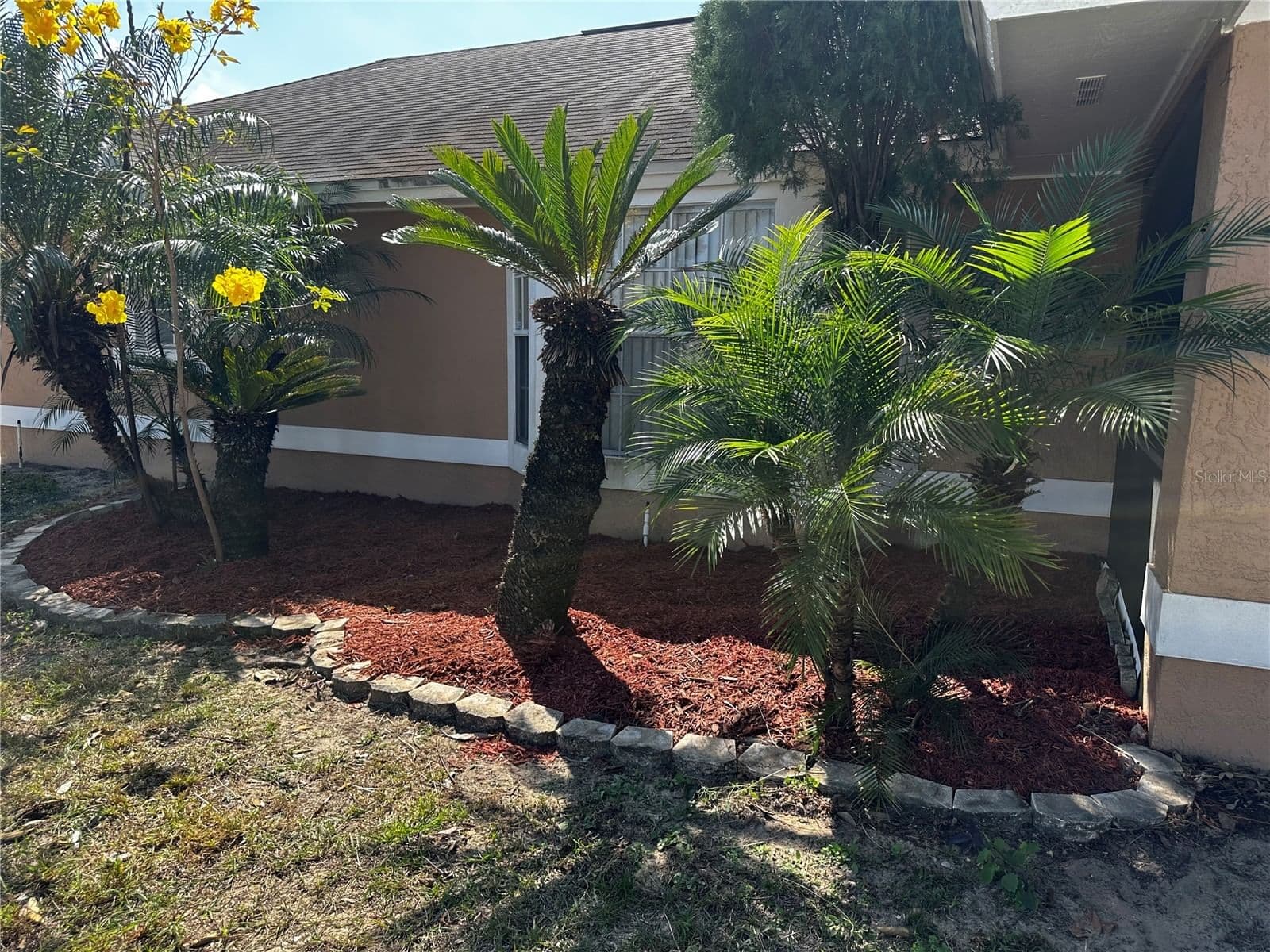 121 LOMA BONITA 4