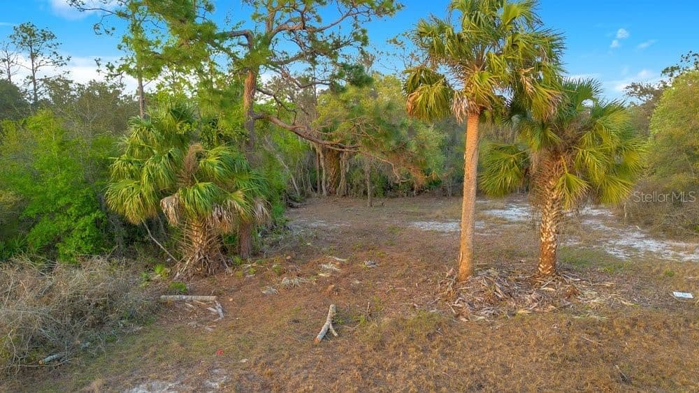 1411 SARASOTA, Poinciana, FL 34759
