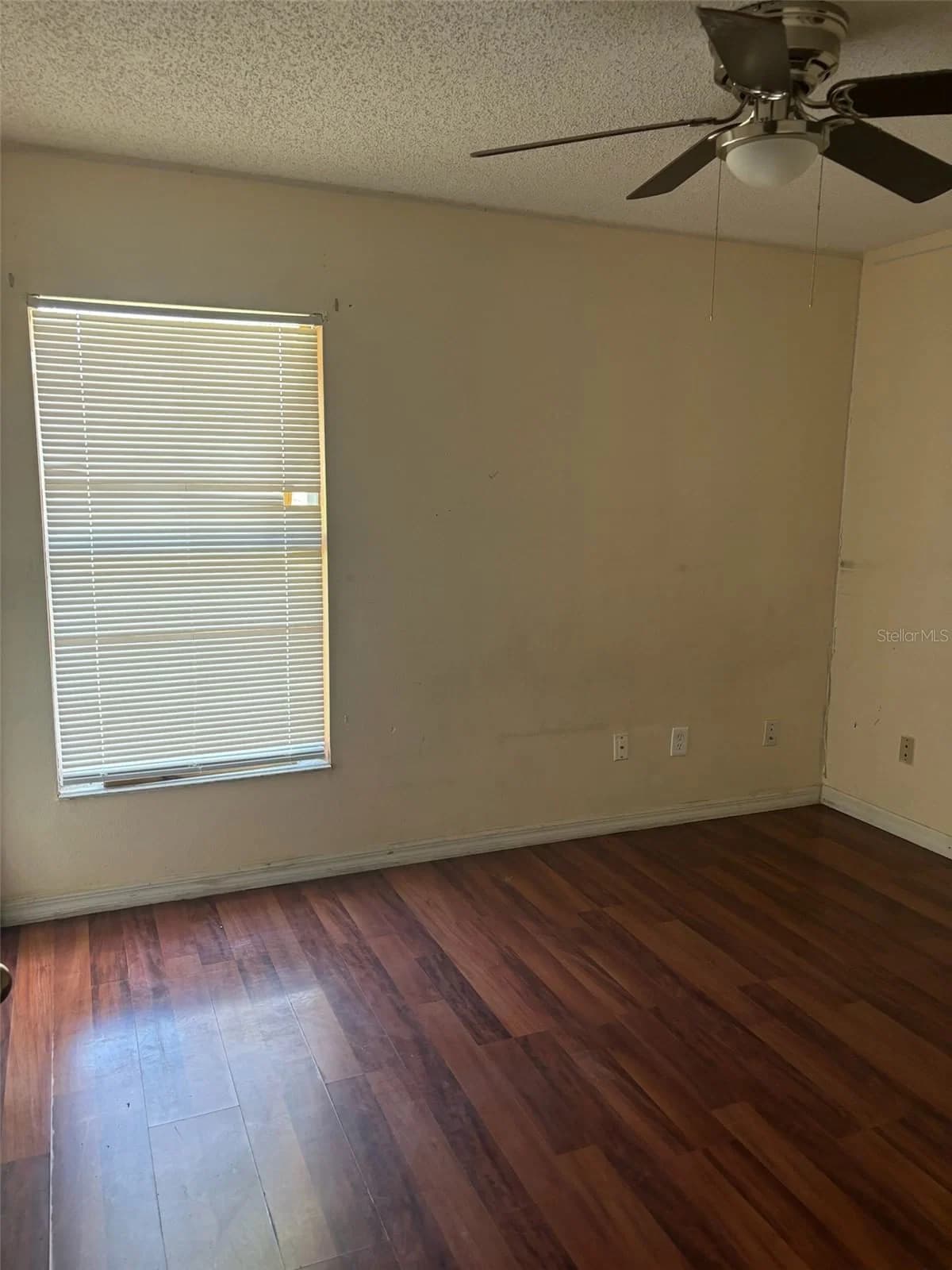 673 COTULLA, Kissimmee, FL 34758 3