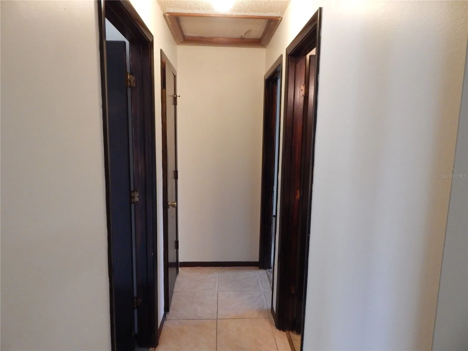 2505 CORAL 5