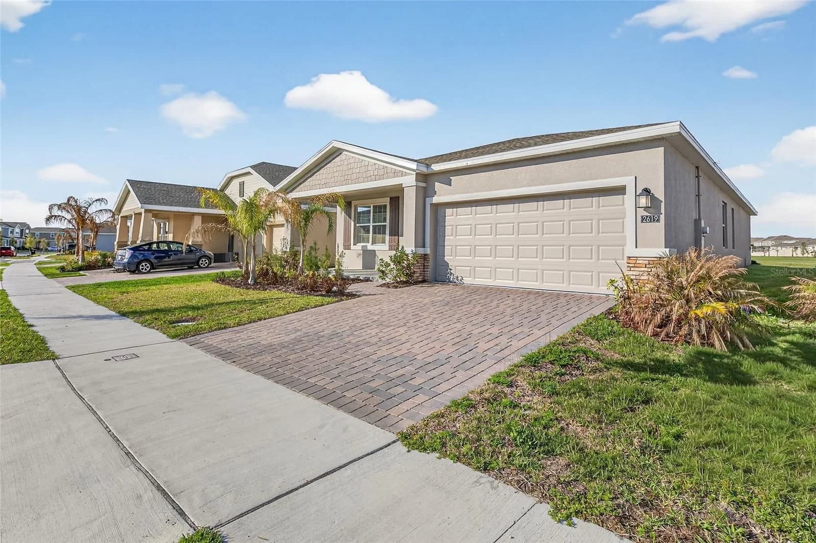 2619 PEACE OF MIND 5