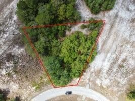 1329 HOMOSASSA, Kissimmee, FL 34759 3
