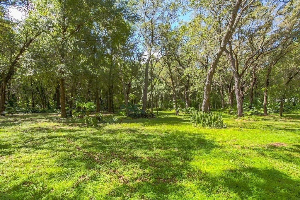 425 HIAWASSEE RD Road, Orlando, FL 32835