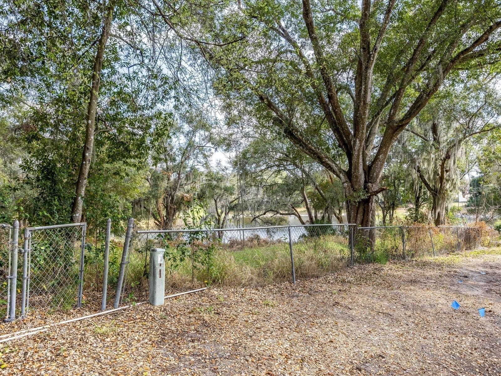 507 ENKA Avenue 5