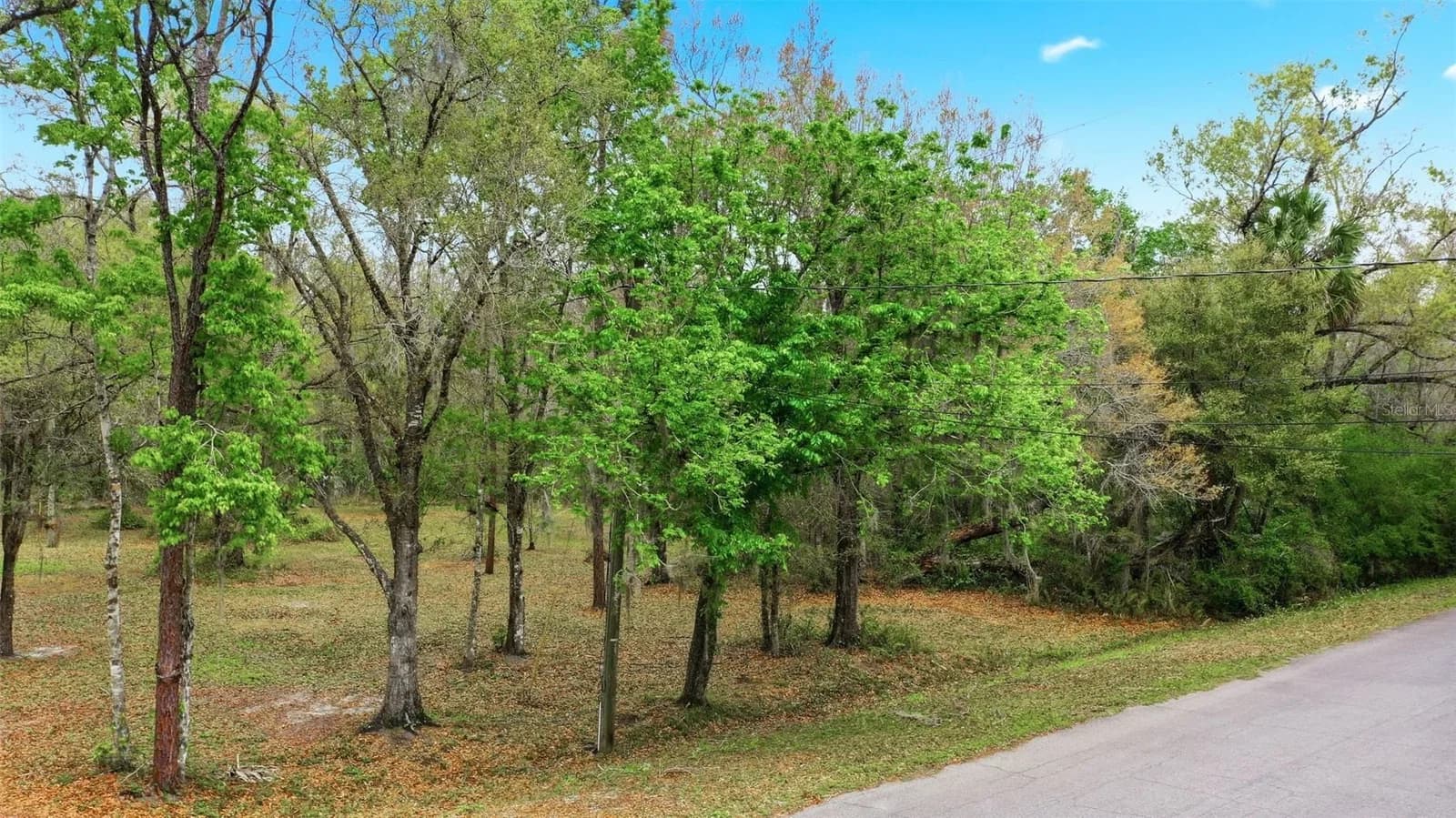 QUINLAN Street, Orlando, FL 32833