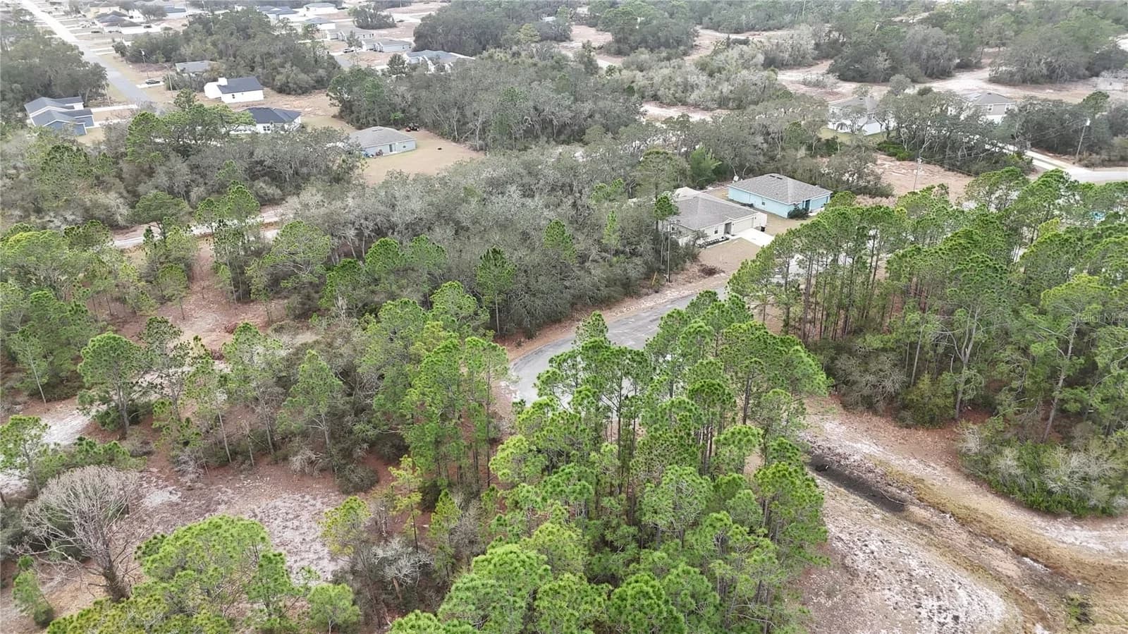1255 WAHNETA, Kissimmee, FL 34759 2