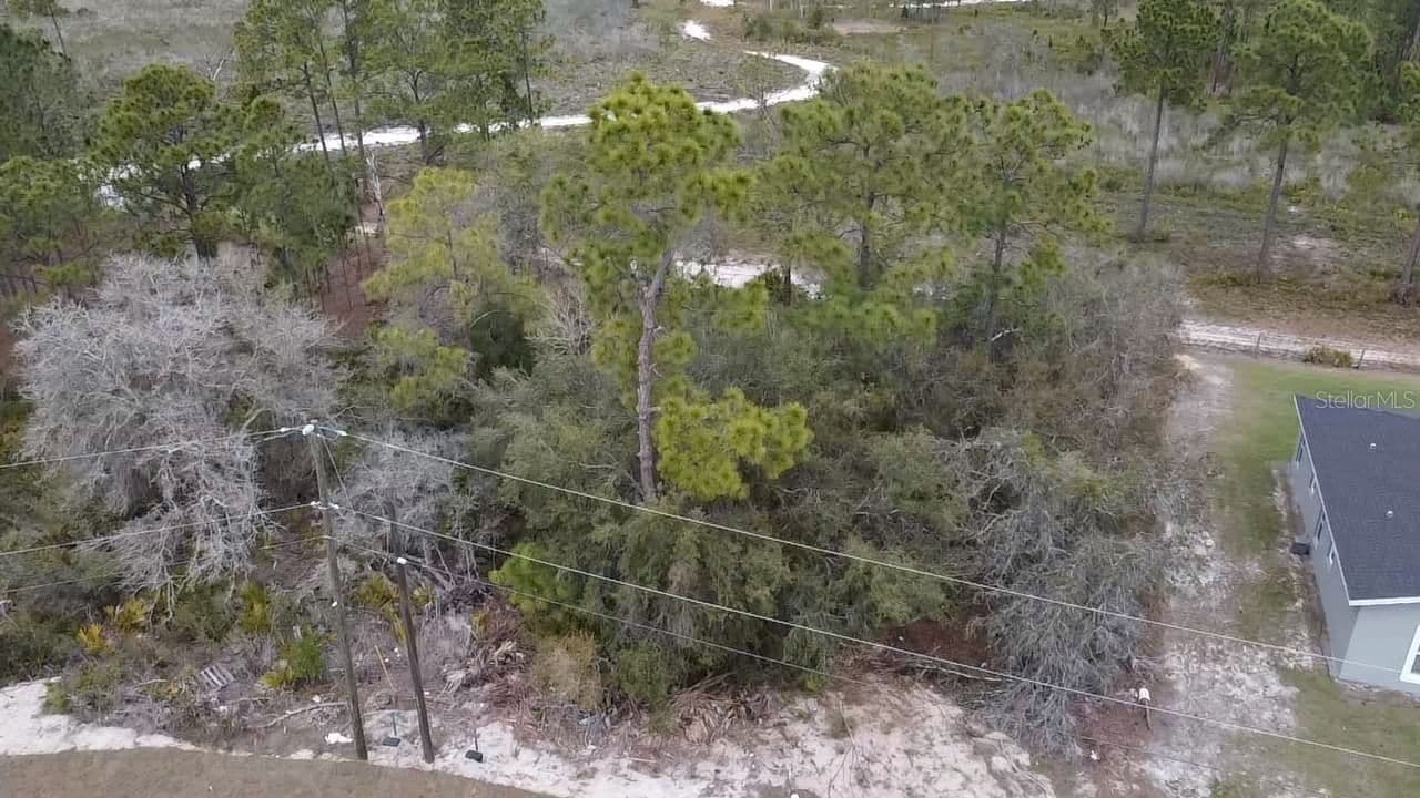 1226 APOPKA, Kissimmee, FL 34759 2