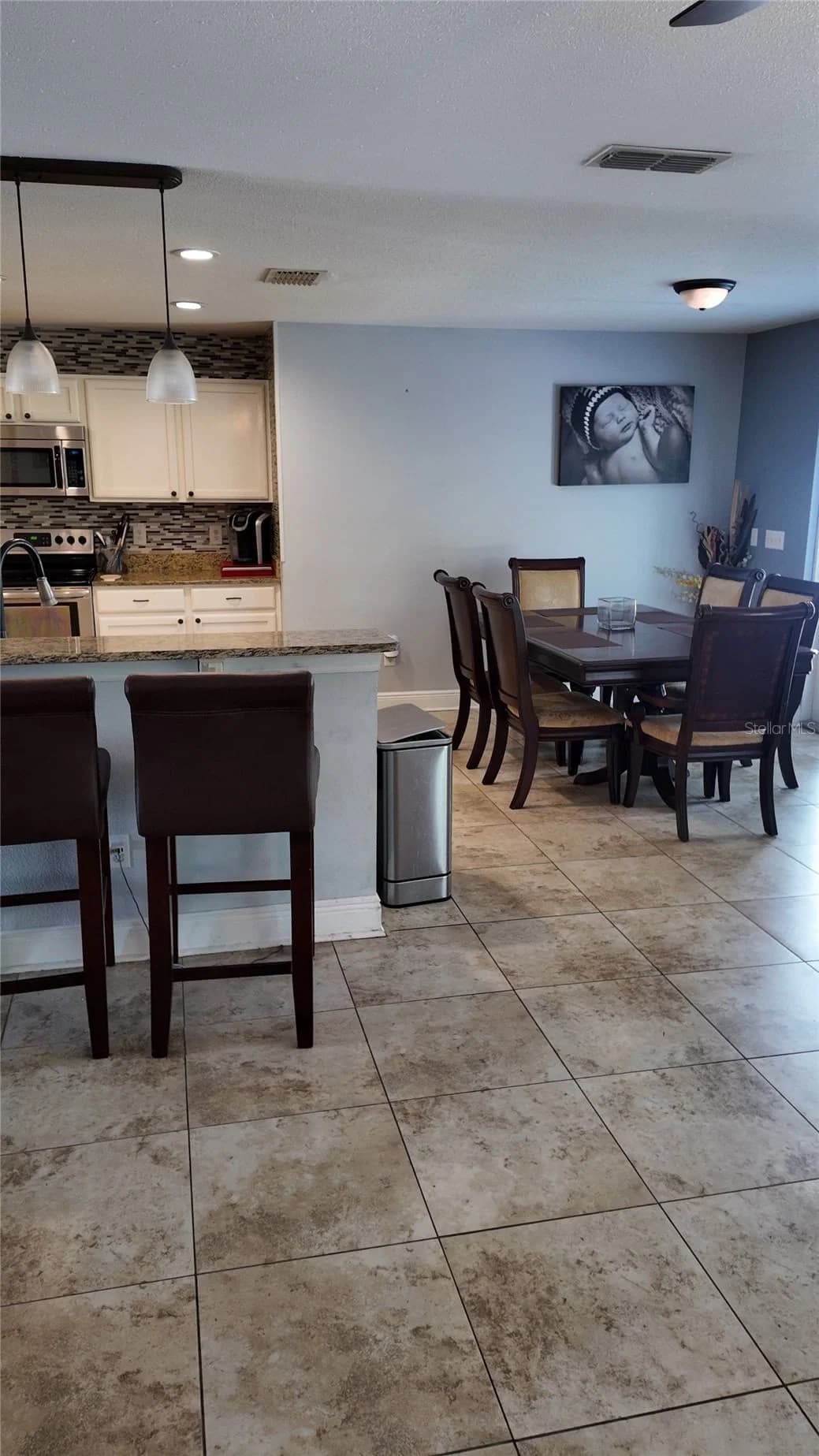 1042 HORSESHOE FALLS Drive 5