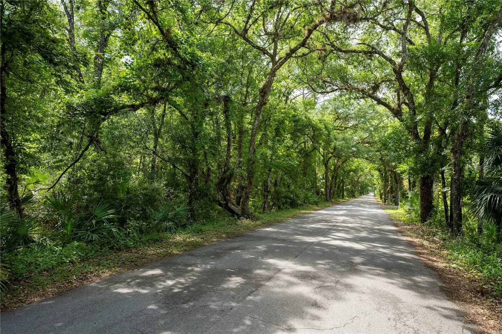 651 COUNTY ROAD 13, Orlando, FL 32833 2