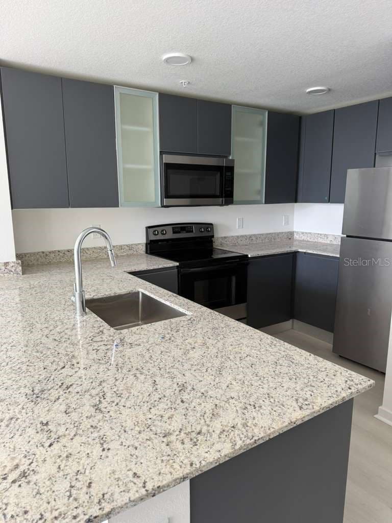 5579 MILLENIA PARK Boulevard #203 5