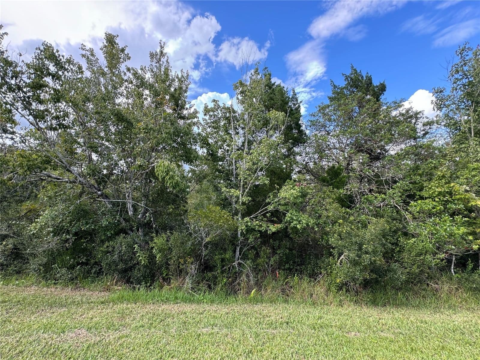 SHELDON Street, Orlando, FL 32833