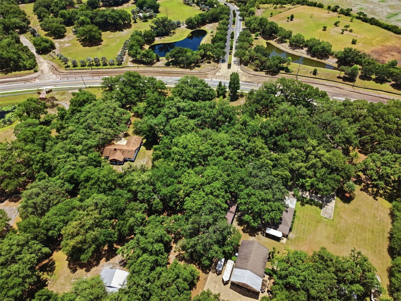 4275 BOGGY CREEK 5