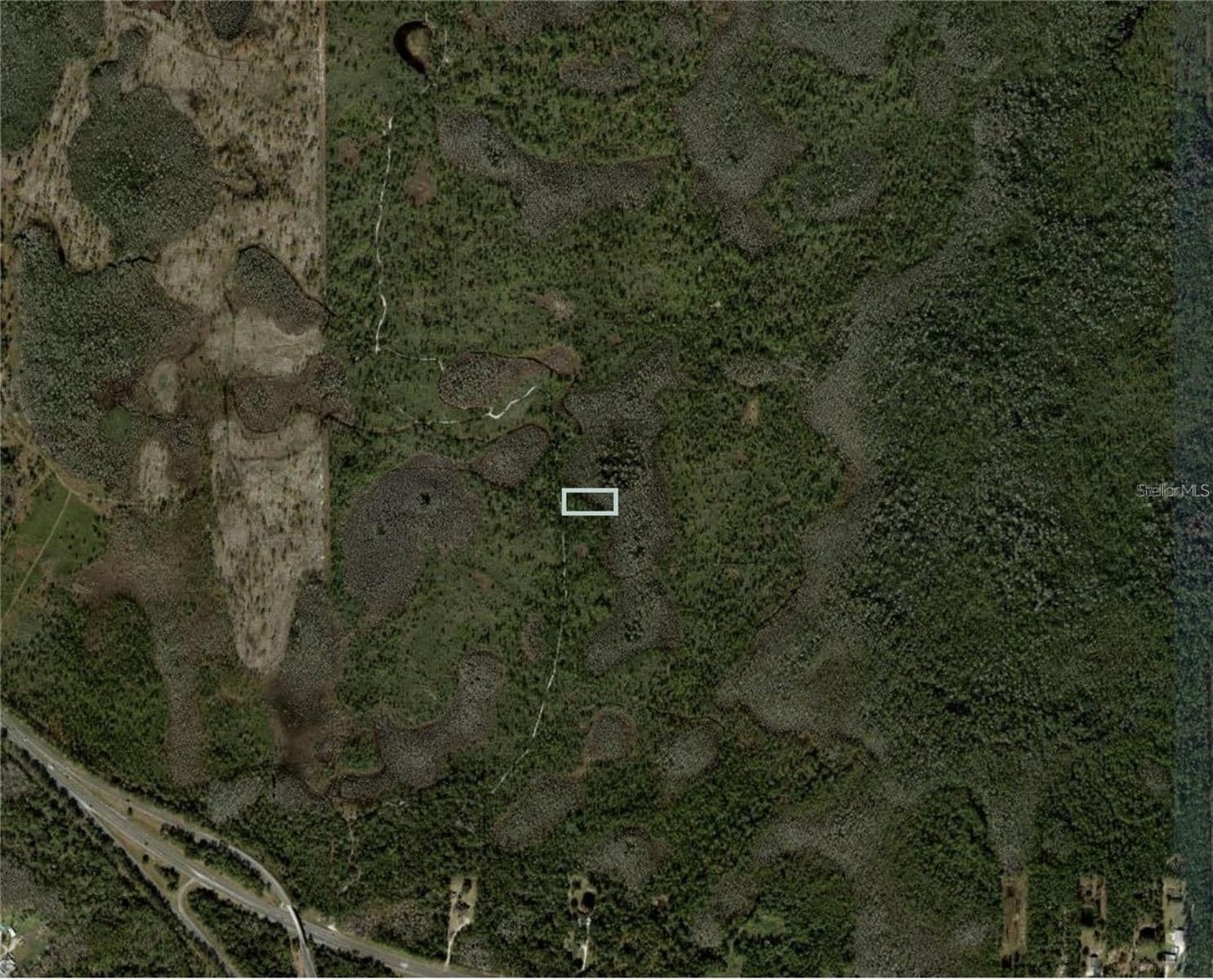 DILL, Orlando, FL 32820