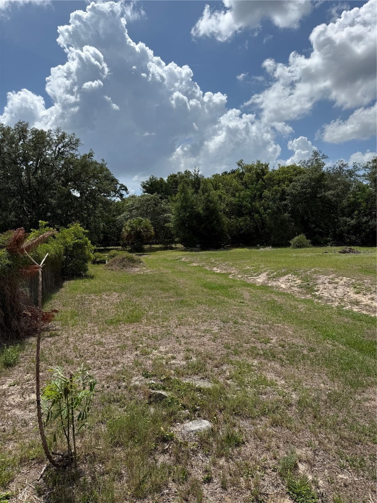 1401 CANDLER, Orlando, FL 32818 3