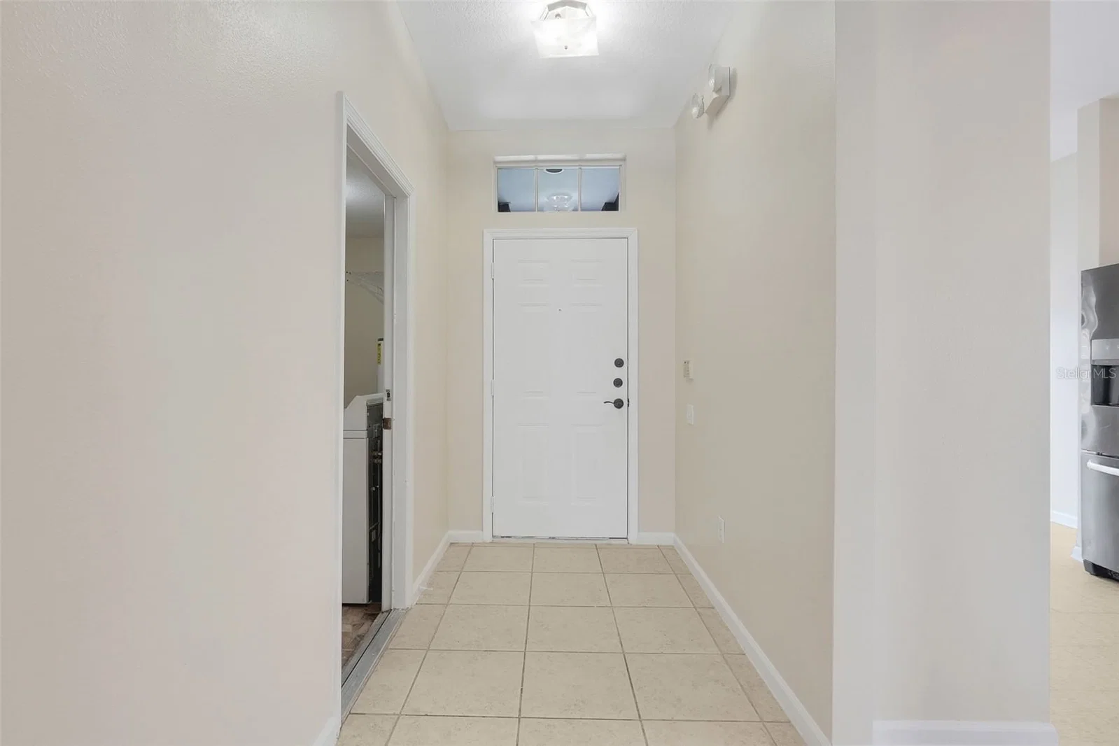 8055 KING PALM 5