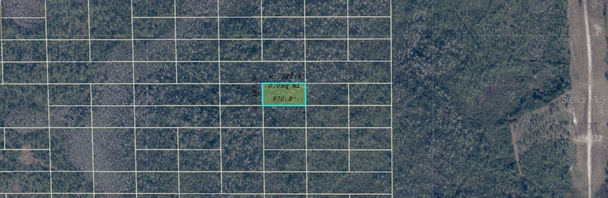 DILL, Orlando, FL 32820