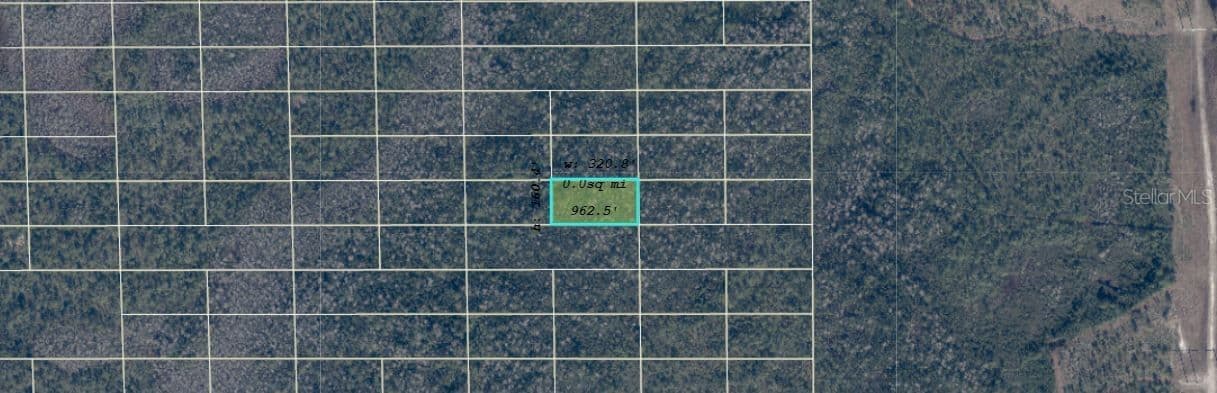 DILL, Orlando, FL 32820