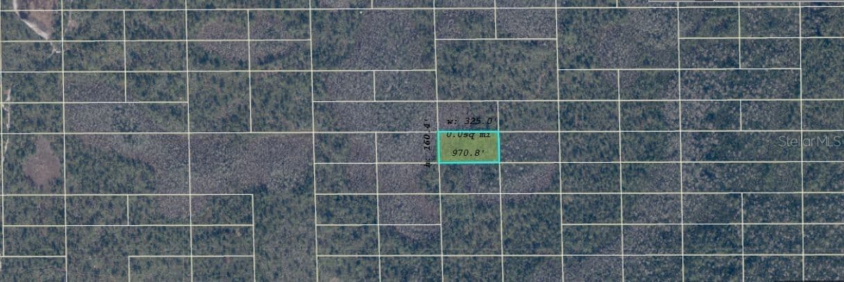 DILL, Orlando, FL 32820 3