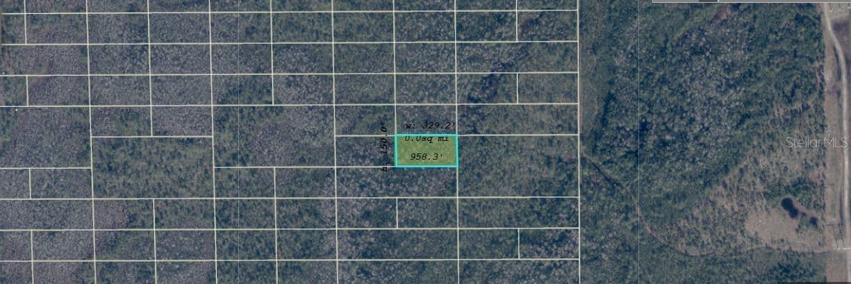DILL, Orlando, FL 32820 3