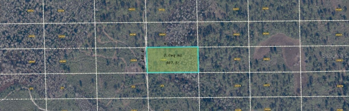 DILL, Orlando, FL 32820