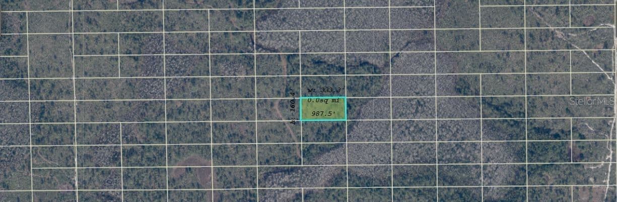 DILL, Orlando, FL 32820