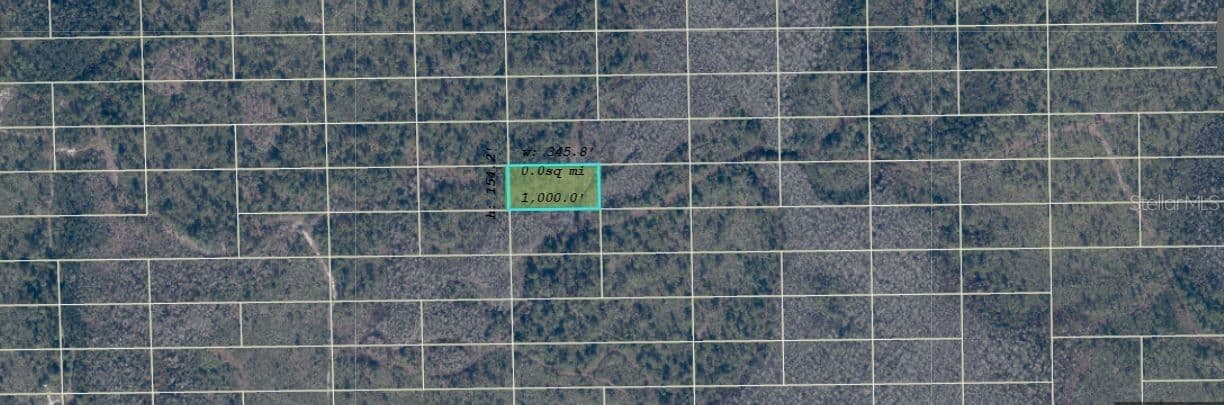 DILL, Orlando, FL 32820