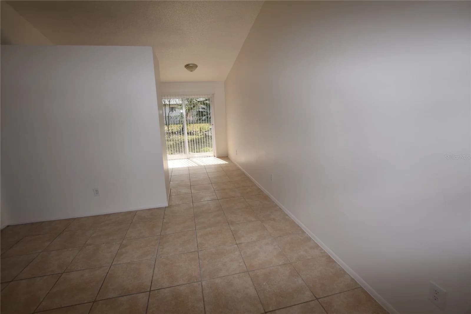 3264 SPLIT WILLOW 5