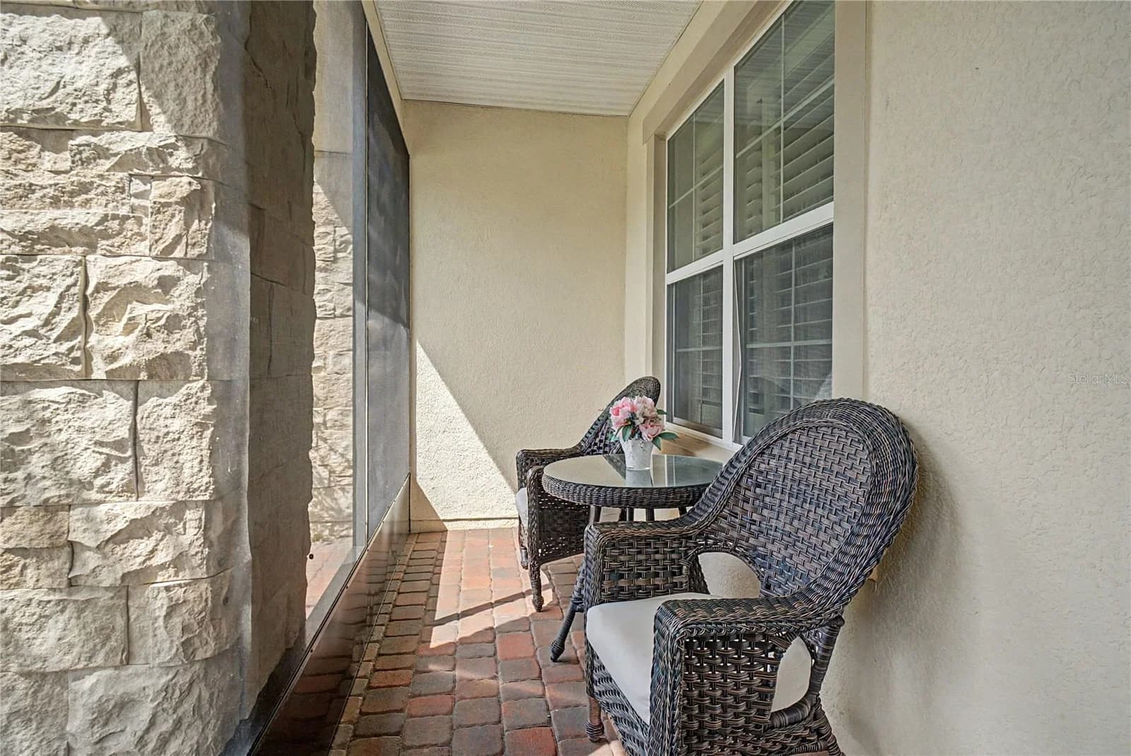 3051 AGOSTINO 5