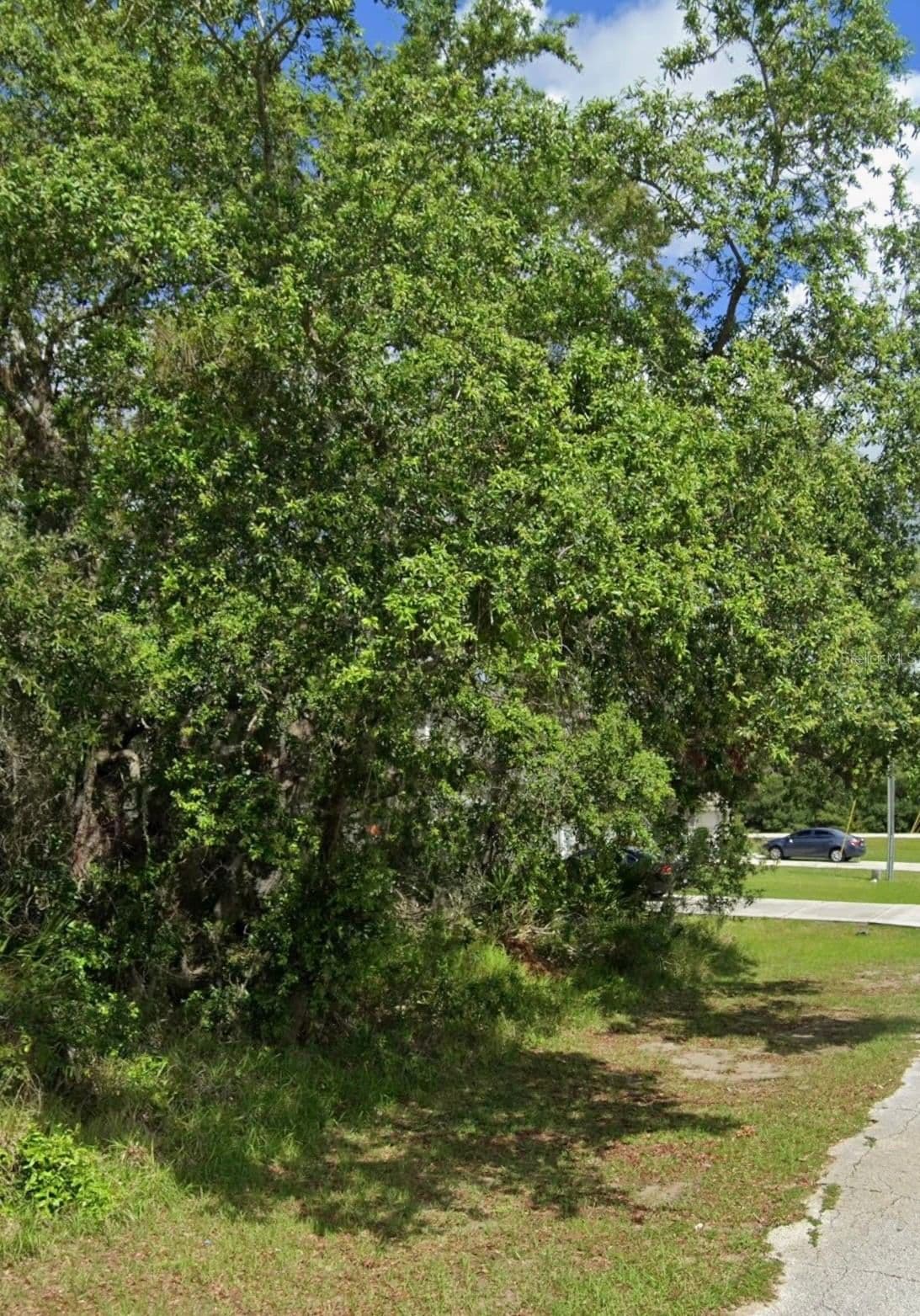 1504 ELOISE, Kissimmee, FL 34759