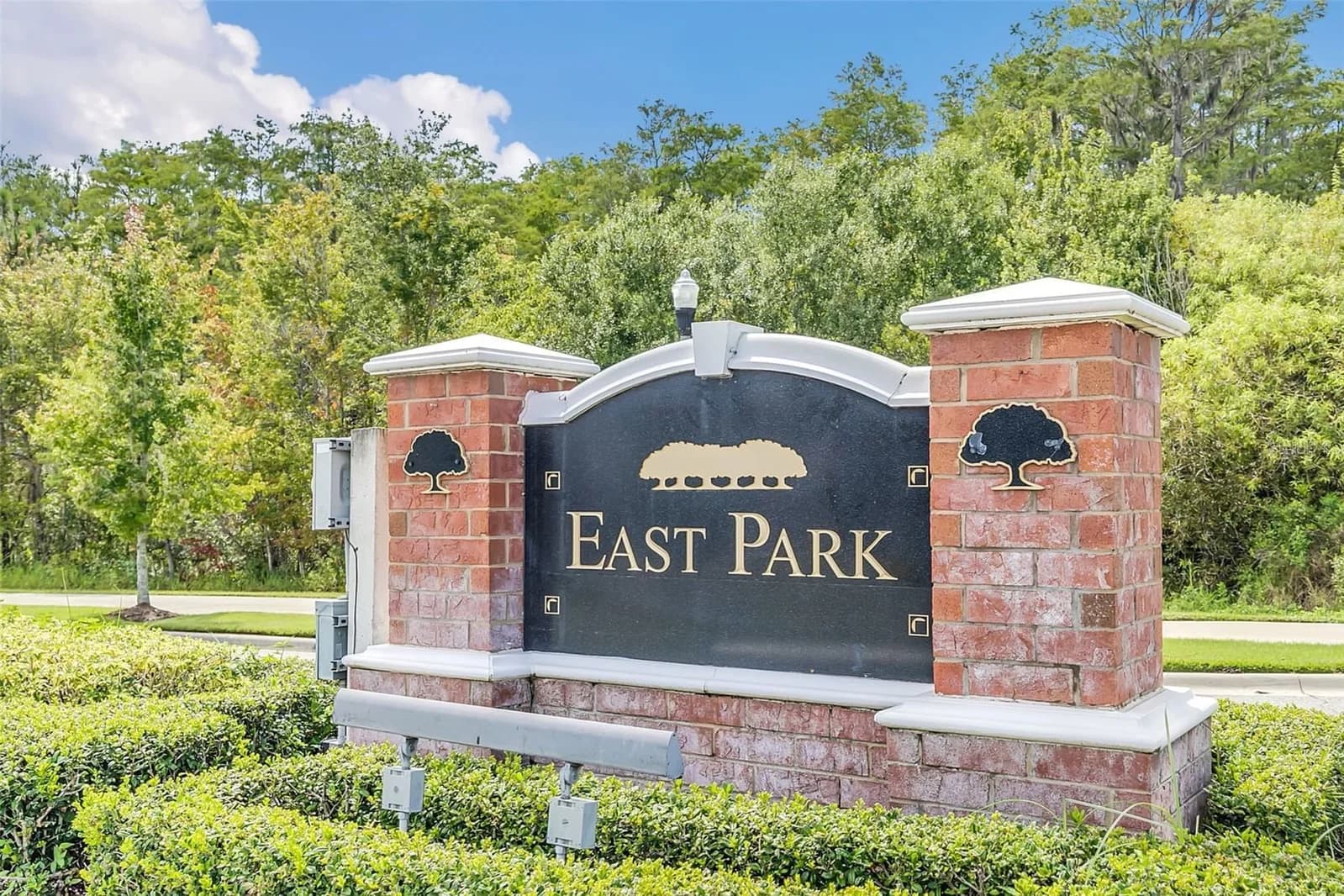 10558 GREEN IVY, Orlando, FL 32832 3