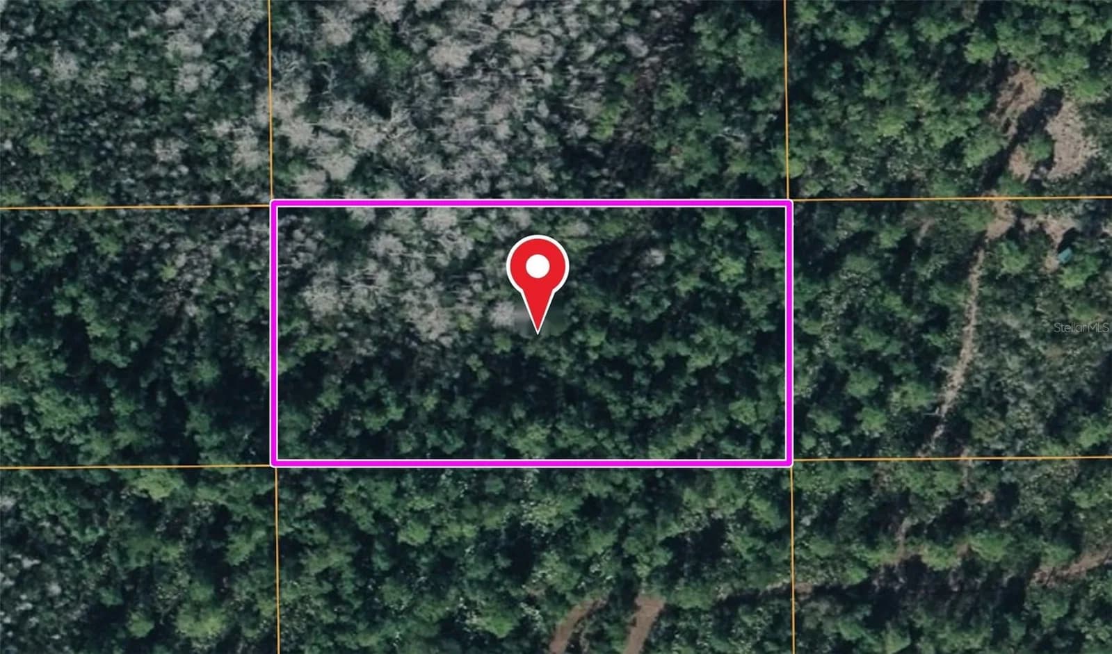 DILL, Orlando, FL 32820
