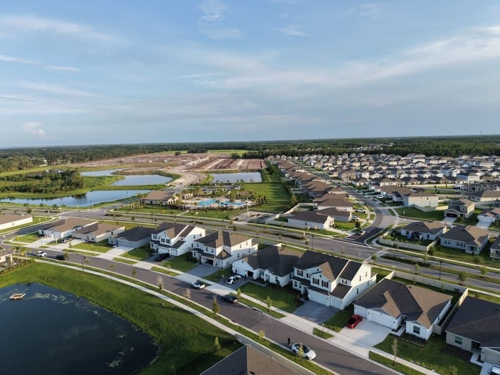 4170 GOOSEBERRY 3